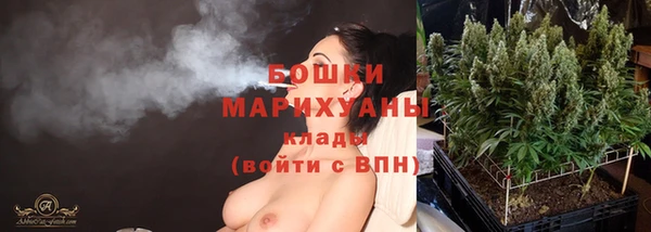 прущие грибы Нефтекумск