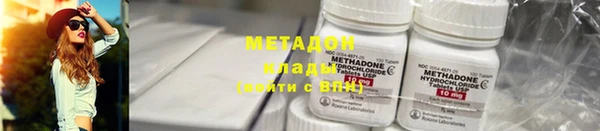 прущие грибы Нефтекумск