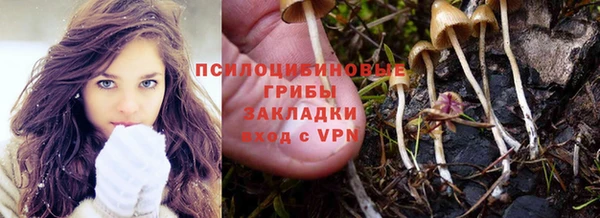 мяу мяу мука Нефтегорск