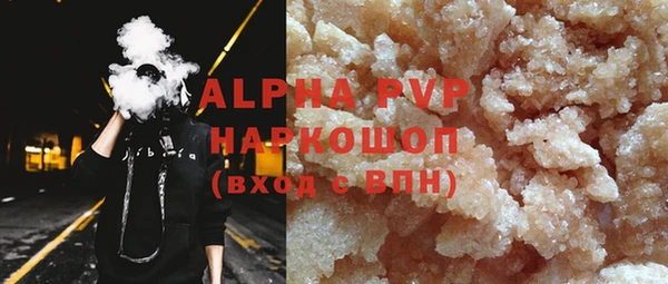 прущие грибы Нефтекумск