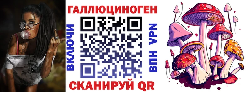 Галлюциногенные грибы Cubensis  цена   Нюрба 